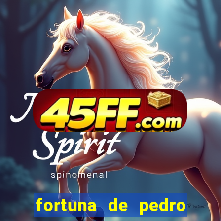 fortuna de pedro leonardo filho de leonardo